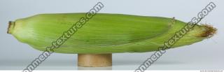 Corn 0006